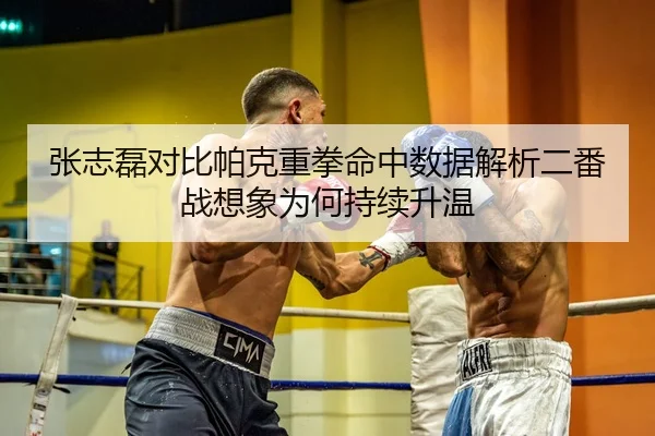 张志磊对比帕克重拳命中数据解析二番战想象为何持续升温