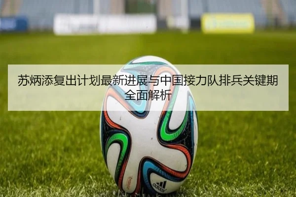 苏炳添复出计划最新进展与中国接力队排兵关键期全面解析（nangong 28）